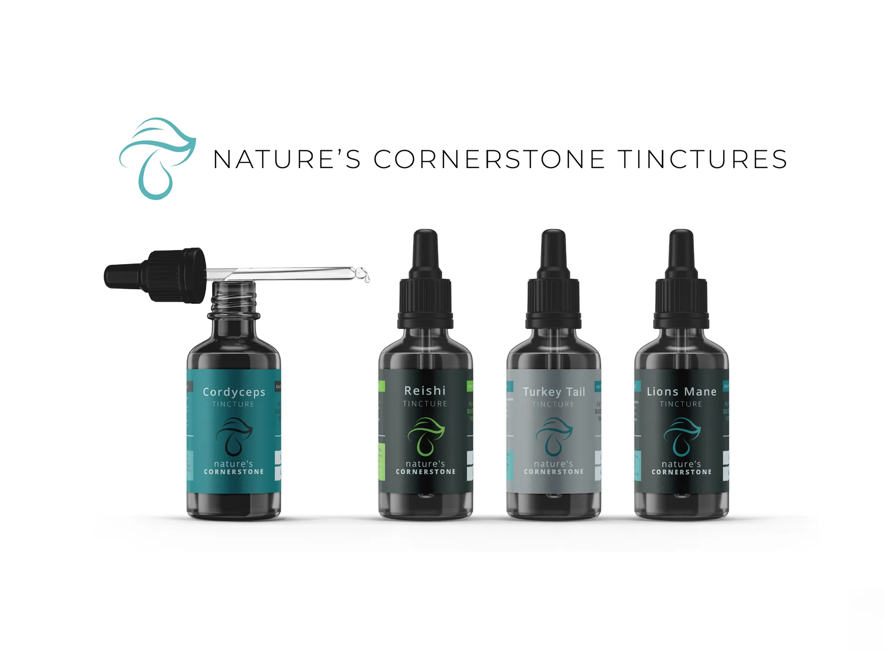 Nature's Cornerstone — design detail